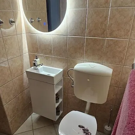 בית נופש Hisa Javornik בוהין