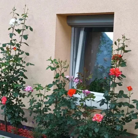 Hisa Javornik Nyaraló