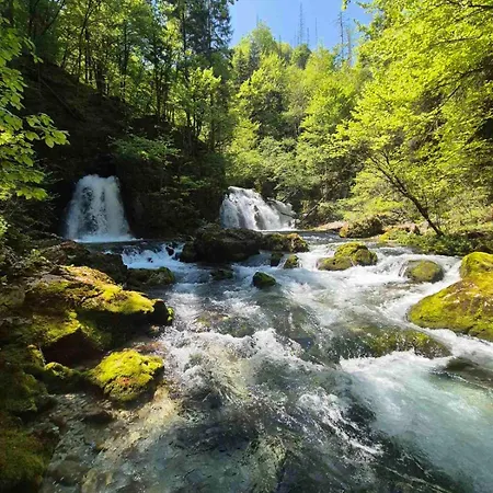Ferienhaus Hisa Javornik Bohinj