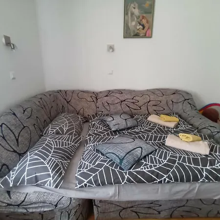 Hisa Javornik * בוהין