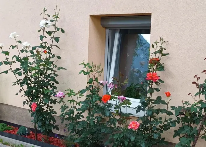 Hisa Javornik Vakantiehuis